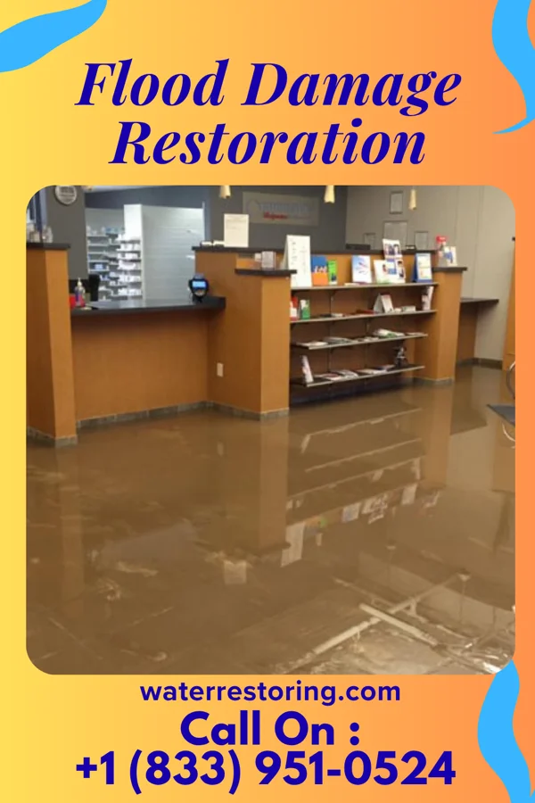 Flood Damage Restoration in Havelock, NC