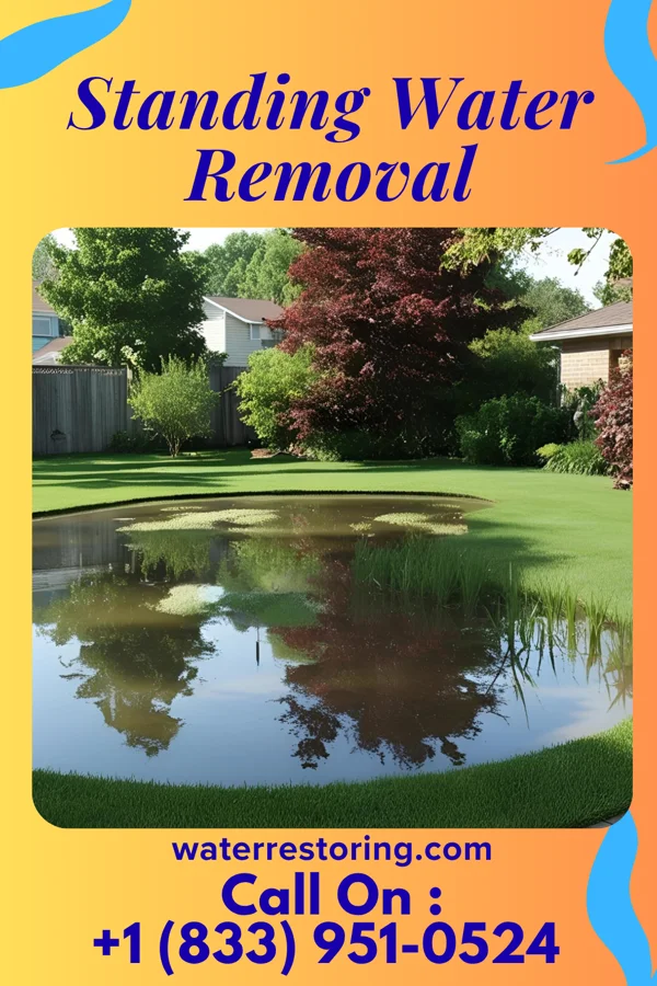 Standing Water Removal in Havelock, NC